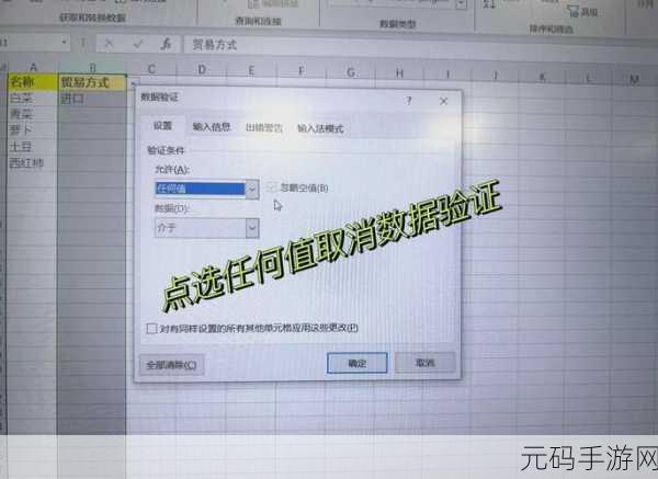 轻松搞定！WPS Excel 表下拉选项的快捷创建秘籍