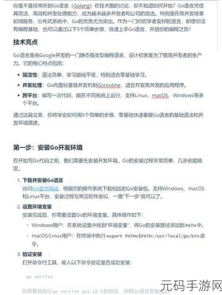 掌握这些技巧,让 Go 语言代码调试不再有遗漏!