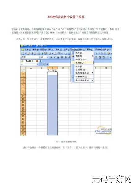 WPS 表格单元格边框效果添加秘籍