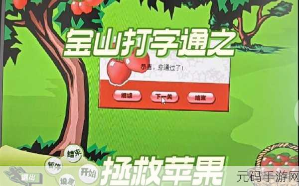 探索金山打字通，究竟哪个版本堪称最佳？