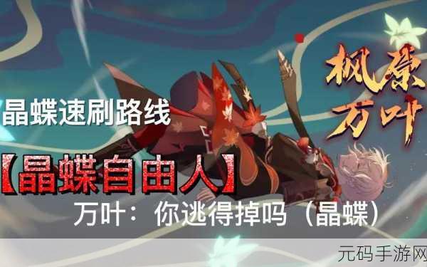 原神新版本红色采集物位置全揭秘,探险家的必备指南