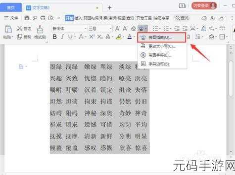 WPS 演示文字添加拼音秘籍大公开