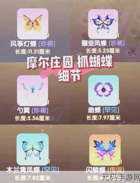 摩尔庄园手游潜入城堡任务全攻略，助你轻松完成挑战