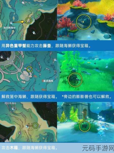 原神大枫丹湖悠悠海獭位置解密全攻略