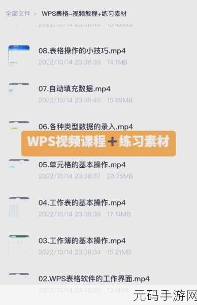 轻松搞定 WPS 表格皮肤修改秘籍