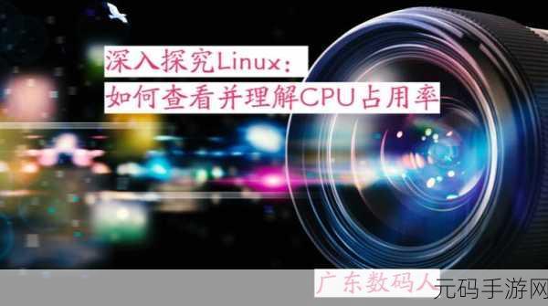 深入探究,Linux 下的 Admin5 自定义设置之谜