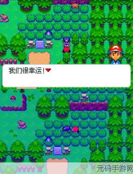 宝可梦大探险,团团石获取攻略与最新资讯速递