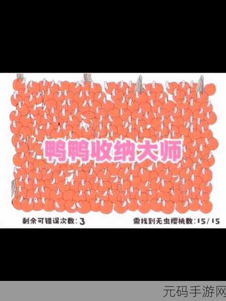 鸭鸭收纳大师端午节粽子关卡通关全攻略