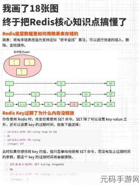 Redis 模块常见类型全解析,助您轻松掌握