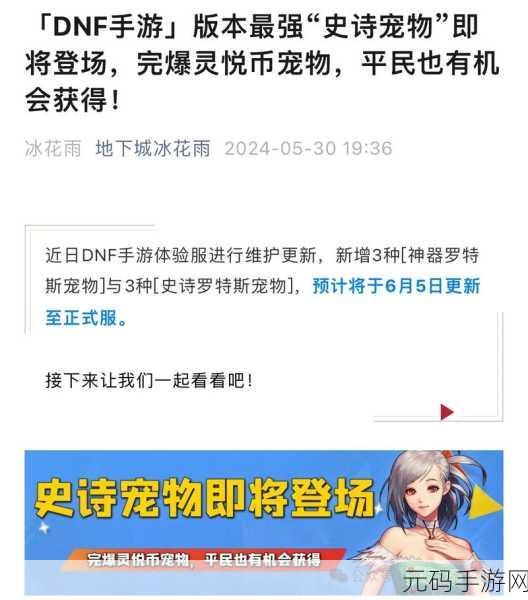 DNF手游Fate/Zero联动宠物震撼登场,全新冒险即将启程