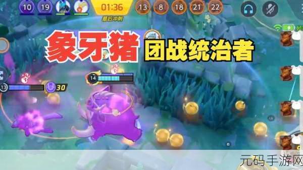宝可梦大集结角色推荐,防御型坦克象牙猪全面解析