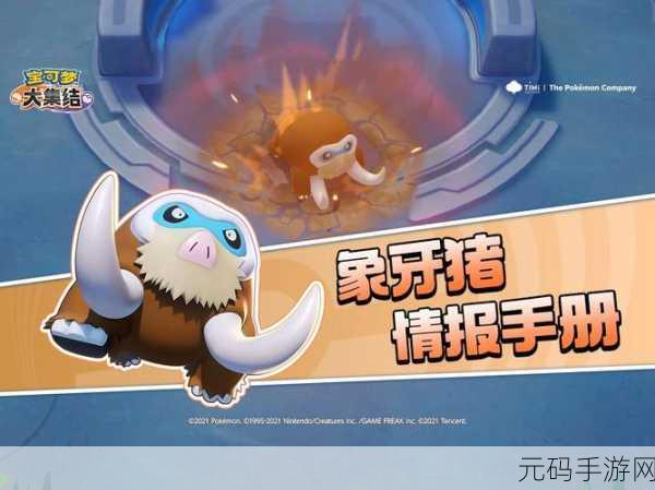 宝可梦大集结角色推荐,防御型坦克象牙猪全面解析