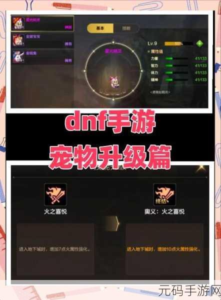 元素勇士手游,时装宠物获取攻略与宠物合成概率揭秘