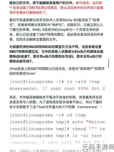 轻松掌握,Linux 系统服务器更新秘籍
