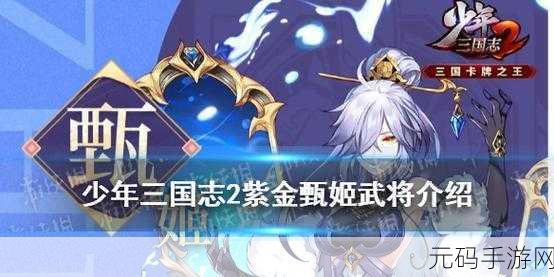 少年三国志,甄姬合击技能深度解析与实战应用