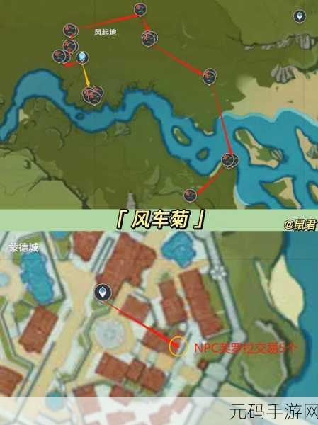 原神风车菊采集全攻略，地图位置与刷新点详解