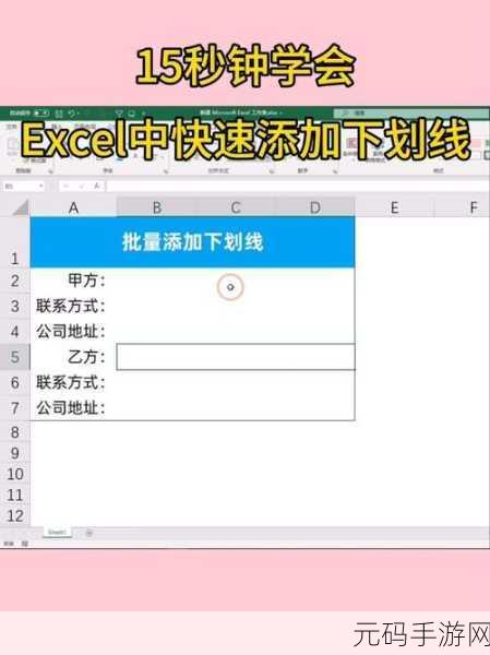 轻松搞定!Excel 表格会计专用双下划线添加秘籍