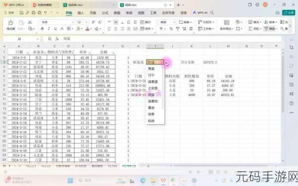 轻松掌握 WPS 表格数据筛选技巧