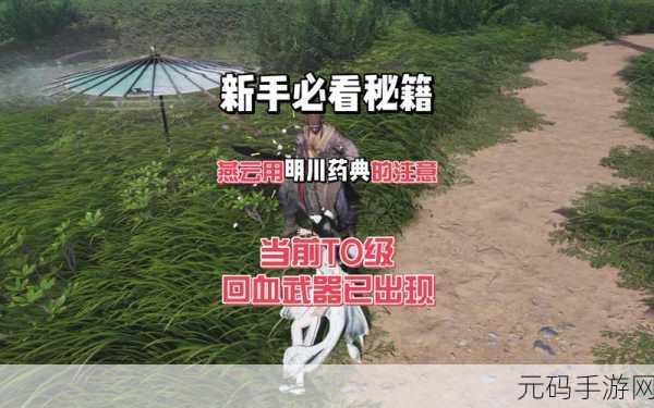 燕云十六声九重伞输出手法深度解析,手游资讯速递