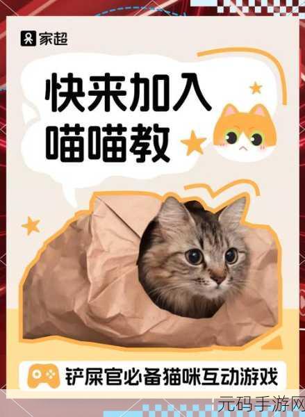 我和我的猫游戏攻略大全,新手入门技巧全面解析