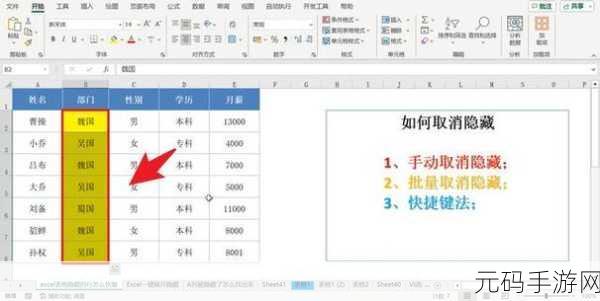 轻松掌握!隐藏表格部分行与列的秘诀大公开