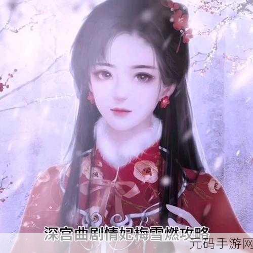 深宫曲梅雪燃全攻略解密,助你驰骋宫廷,游刃有余