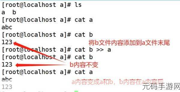 探索 Linux 常用命令 cat 的神奇功能