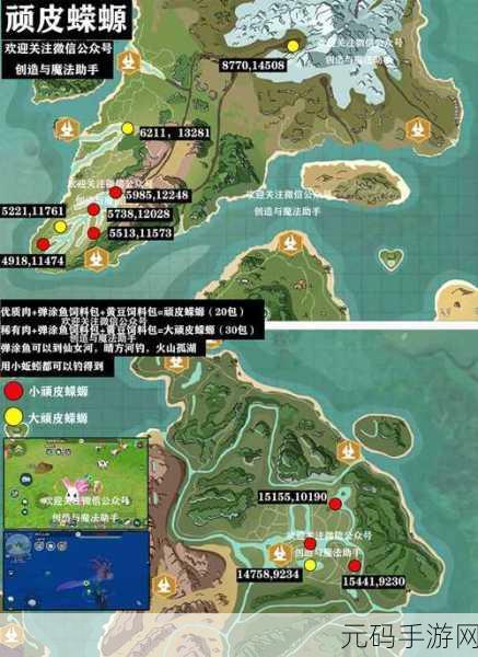 创造与魔法,顽皮蝾螈饲料配方全解析