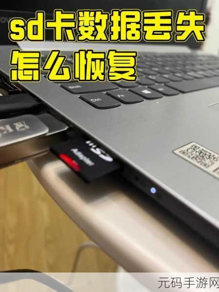 相机 SD 卡数据丢失?别慌!恢复秘籍在此
