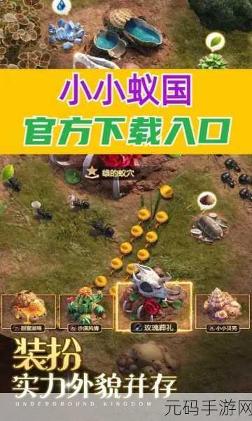 小小蚁国兑换码全解析,最新手游资讯速递