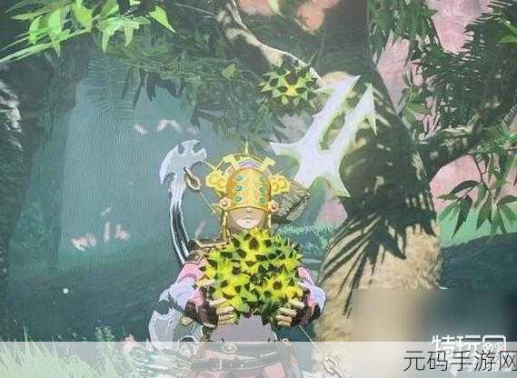 塞尔达传说生命松露获取与用途全解析