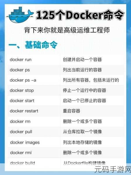 Docker 自定义网络,神奇功能与强大用途全解析