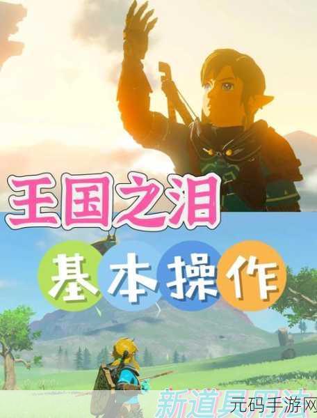 塞尔达传说王国之泪手游资讯,揭秘巨大的骨碌碌任务攻略