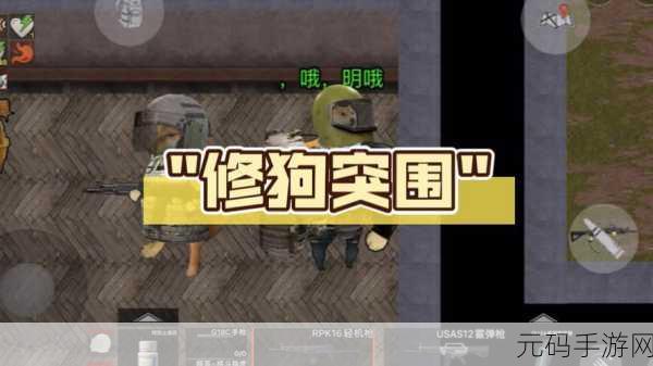狗狗突围，探索射击冒险新境界