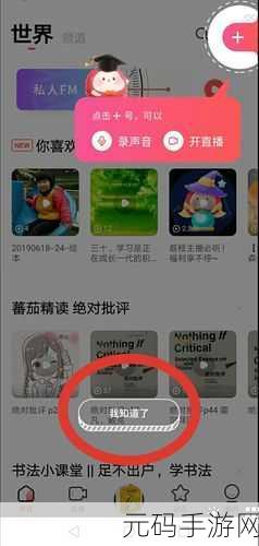 荔枝 FM 私密录音秘籍,轻松设置的独家攻略