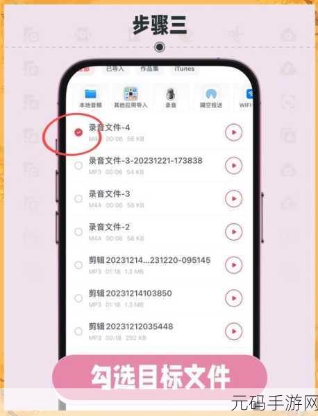 荔枝 FM 私密录音秘籍,轻松设置的独家攻略