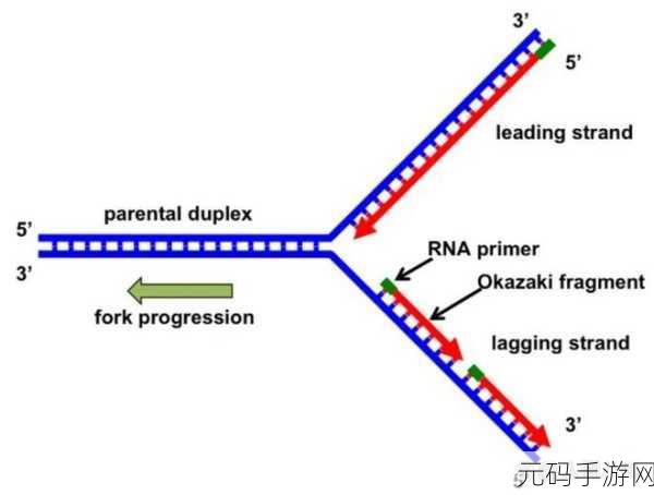 深入探究，ArangoDB 数据复制因子的关键意义