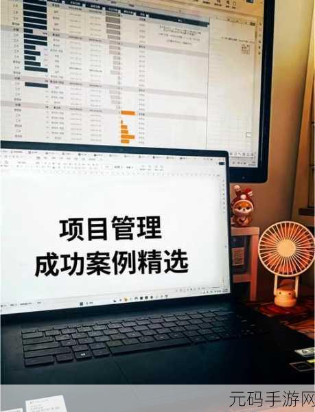 深入探索 C软件项目管理的奥秘