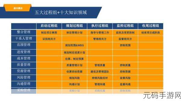 深入探索 C软件项目管理的奥秘