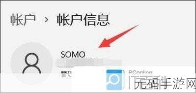 Win11 用户名修改难题破解指南