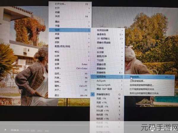 轻松掌握 PotPlayer 截图保存技巧秘籍