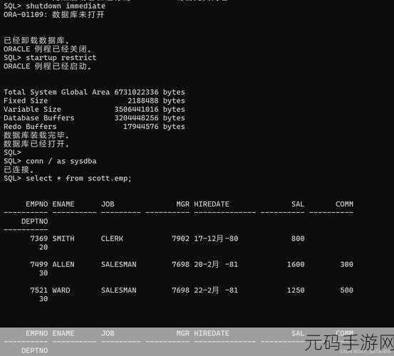 掌握 Oracle 数据库 Delete 权限设置的关键秘籍