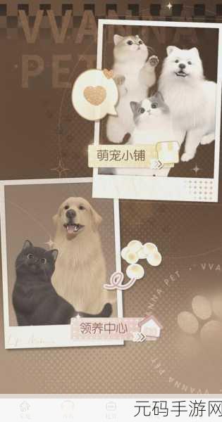 以闪亮之名养宠物全攻略，打造你的梦幻宠物乐园