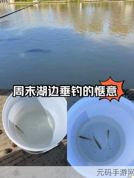 塔瑞斯世界蓝色区域钓鱼攻略，尽享垂钓乐趣