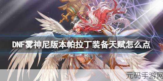 DNF帕拉丁装备搭配攻略2024,打造最强战斗力的秘诀