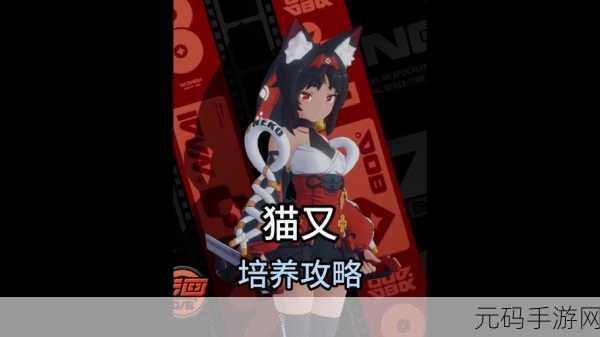 绝区零领养小猫全攻略,打造你的专属萌宠