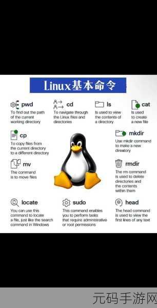 探索 Linux 中 test 命令的强大功能
