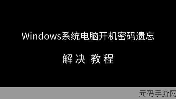 WIN11 开机密码遗忘？PE 工具轻松解决重置难题