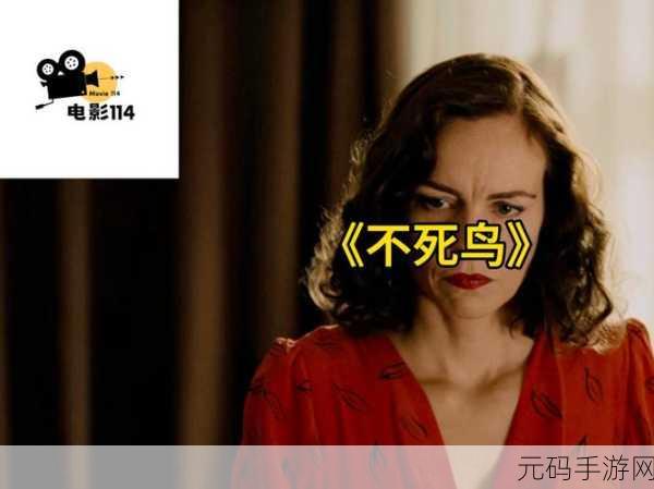 深度解析,美剧鸟为何无法观看?