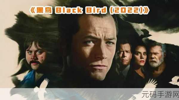 深度解析,美剧鸟为何无法观看?